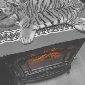 kanoeRana Instagram - 🐅