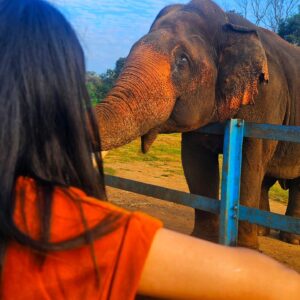 nithya gowda Instagram - Falling love with all over again🐘❤️
#nithyagowda✨ #coorg