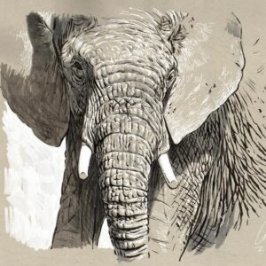 Aaron Blaise Instagram - Happy World Elephant Day! Here is a collection of a few of my elephant drawings over the years. #animalart #WildlifeArt #elephants #drawing
