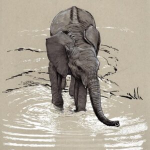 Aaron Blaise Instagram - Happy World Elephant Day! Here is a collection of a few of my elephant drawings over the years. #animalart #WildlifeArt #elephants #drawing