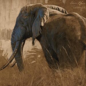 Aaron Blaise Instagram - Happy World Elephant Day! Here is a collection of a few of my elephant drawings over the years. #animalart #WildlifeArt #elephants #drawing