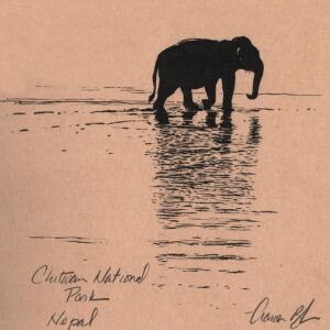 Aaron Blaise Instagram - Happy World Elephant Day! Here is a collection of a few of my elephant drawings over the years. #animalart #WildlifeArt #elephants #drawing