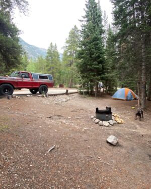 Aaron Kaufman Instagram - Short little impromptu camping trip. First one Ol’ RedFord has been on. Camped on two rivers drove up to the ghost town and bumbled up tin cup pass for a mile or so (not enough fuel to make the pass and water at 30” RedFord only has a fording depth of about 24” currently) still had a great time and RedFord was great not a single issue. 
Surprisingly RedFord gets 15mpg on 37s 5.13 gears and a full load  at elevation. Additionally the @mcleod_racing clutch and heavy flywheel make driving and old manual farm truck in the rocks not nearly as much of a chore… win for a stick shift. 
Plus a got a new camper well, new to me with all of its holes 😂 I never tested the bed size on these trucks after I cut them down so I learned that a shell off of the next gen and up to 96 fit. I had my expectations but it was cool the shell fit well. 

#magnaflow 
#mcleodclutch 
#precisionreplacementparts 
#colorado