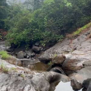 Abhay Jodhpurkar Instagram - Into the wild! 🌳💦🦀🐸🪲🌱🌿🍀🍃🎒🩵💚