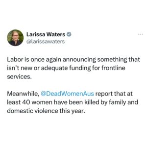 Adam Bandt Instagram - This is not new and not adequate to address the scale of this crisis. 

720 safe places is a drop in a very large ocean of need - at most it could help 3% of people who need help - and they won’t provide anyone safety until 2027.

This government keeps making announcements, but there’s never any new or adequate funding for frontline services, which is what the women’s safety sector and this crisis of men’s violence demands.