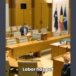 Adam Bandt Instagram - The Labor Government should be trying to stop genocide - not senators speaking out against it.

Strength to anyone who has been ostracised for speaking out for Palestine - students, workers, community members, business owners.

You are on the right side of history.

We will not stop pushing until there’s an end to this horrific invasion and Palestine is free.