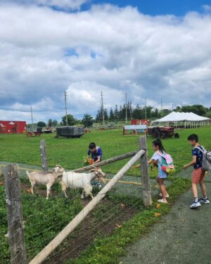 Aimee Chan Instagram - Sunshine ☀️is the best all natural mood booster! 💕Thank you to my eldest for taking  this photo for me. His height is the perfect angle for making my legs  appear longer and slimmer ! 😆 Wahahahahahaha! 

#farmlife #toronto #summer #fab4 #today