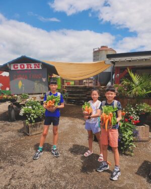 Aimee Chan Instagram - Sunshine ☀️is the best all natural mood booster! 💕Thank you to my eldest for taking  this photo for me. His height is the perfect angle for making my legs  appear longer and slimmer ! 😆 Wahahahahahaha! 

#farmlife #toronto #summer #fab4 #today