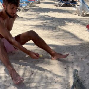 Alan Bronciac Instagram - Y a un pote qui est venu me rendre visite sur la plage 🦎
