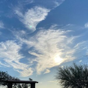 Albert Tsai Instagram - day in the desert☀️🌵