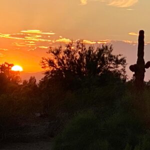 Albert Tsai Instagram - day in the desert☀️🌵
