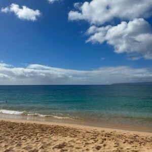 Aleen Keshishian Instagram - Had so much fun at our family reunion in Hawaii!! We had the greatest time thanks to @markajsimon and his amazing team #fourseasonsmaui 🌴☀️🏖️🌊♥️