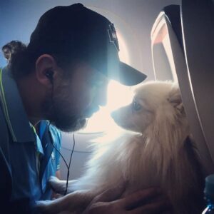 Alejandro Ávila Instagram - Este amor que te tengo mi niñooooo 🤩🤩🤩🤩🤩 #coco🐺 #pomeranian