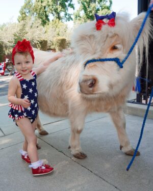 Alessandra Torresani Instagram - Ice Cream Truck, Wonder the Cow, Giant Dogs and Dweezil Zappa…the Most Epic 2nd Annual 4th of July Neighborhood Parade 🇺🇸 Couldn’t of done it without my mom team  @kristen_dees @danikid 🇺🇸 Thank you @kevindees for sponsoring our little block party, @littlehorseontheprairie for bringing so many smiles and @dweezilzappa for bringing rock n roll to the 4th! 🇺🇸
