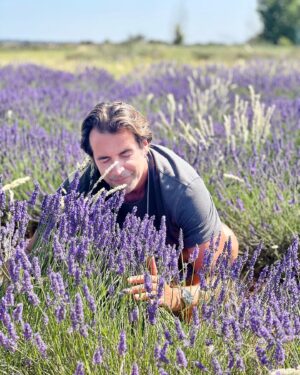Álex Adróver Instagram - Sueño cumplido, y no ha hecho falta volar a la Toscana. Si es que España es mucha España. Llevo años obsesionando con la lavanda, allá donde vamos nunca falta una plantita de lavanda, pero lo de hoy ha sido inolvidable, campos y campos de lavanda con el aroma más bestia.