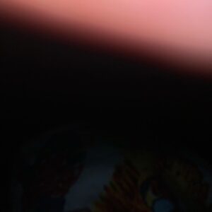 Alex Fitzalan Instagram - Took 3 pics last night happy new year, peace and love