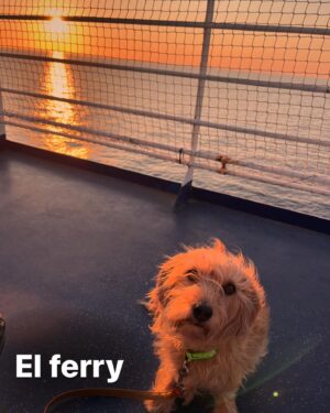 Álex O'Dogherty Instagram - Ya que no se me suben los reels, aquí os dejo un resumen de nuestros primeros 9 días de viaje. ¿Qué os ha gustado más? Recordad que lo tenéis todo en stories destacadas. Gracias por las recomendaciones. Hoy, GALIPOLLI. 

Día 1 - EL FERRY (Barcelona - Civitavechia)
Día 2 - ROMA
Día 3 - ABRUZOS (Pescasseroli- Opi)
Día 4 - ABRUZOS ( Lago Barrea)
Día 5 - NÁPOLES
Día 6 - POMPEYA / VESUBIO
Día 7 -  MATERA
Día 8 - ALBEROBELLO/ POLIGNANO AMARE
Día 9 - BRINDISI / LECCE