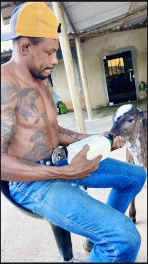Alex Oliveira Instagram - Bom Dia meu povo. Aqui o sistema é bruto!!!

#oesportepodemudarvidas #videosengracados #videos#canaljf #notícia #noticias24 #noticia #noticias #notícias #novidades #jf #noticoasjuizdefora #lojas  #Mencionar #atstubaroes #muaythafighter #lutalivreesportiva #tresriosacidadedoesporte •
#franquia #jujitsulifestyle #tubaroesassasinos #taekwndo #lojas# kingfu #boxe #atsushi #Anime #tresriosprecente #taekwondofighter #franqui #andretadeu