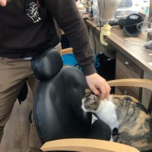 Alexander Dreymon Instagram - “CC” is our set mascot. She was a stray; now, she’s part of the TLK fam.
She likes to sleep...cuddle...cuddle while she sleeps...and to sleep while being cuddled. (She pretends to be in love with me, but really, any lap will do...)
If you watch season 5 carefully, you might spot her passed out somewhere in the back of a shot.  #cat #purr #catsofinstagram #adoptdontshop