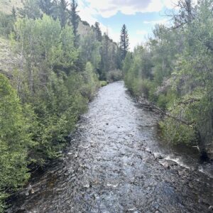 Alexander Ludwig Instagram - @brushcreekranch !!! Where do I even begin to describe what a great place this is for families. Thank you guys for your unbelievable hospitality. There is truly nothing like this place and you all are forever a part of this family as the first ranch we brought our kiddos to. Make sure to lock us down for next year! we’re making this a tradition. 🙌❤️🤠