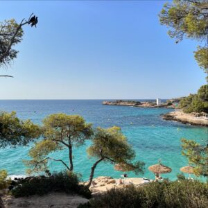 Alexandra Maria Lara Instagram - 🐠🦎🍦#holiday #relaxation #buchtipp (excellent!)…and now back to work 🤍🏔️🤍