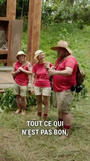 Alexandre Barrette Instagram - SORTEZ-MOI D’ICI!, c’est une expérience inoubliable, avec des hauts et des bas! Nos campeurs se dépassent tout le temps d’un défi à l’autre. 🙌

On leur envoie une bonne dose d’amour! ❤️
__________________________
📺 Dimanche 18h30 | TVA et TVA 
#SortezMoiDici