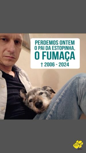 Alexandre Rossi Instagram - Ontem recebemos a triste notícia que o Fumaça, pai canino da Estopinha, faleceu.

Fiquei muito triste, e claro, lembrei de tudo que passei com a Estopinha. E notei que até nesse momento eles foram muito parecidos, pois morreram nos braços de pessoas que sempre amaram e cuidaram com todo carinho.

Sei que os dois tiveram uma vida incrível e foram muito amados, e isso me conforta.

Obrigado por tudo, Fumaça! Descanse em paz 🙏