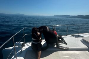 Alicia Garza Instagram - July was definitely one for the books— good music, good friends, beautiful sunsets, love and lots of laughter … between being sunkissed, kissed by a sea lion and surrounded by the dopest humans, I’d say my July was excellent. So grateful too for #Machetechella24 — we take time for each other, support each other and allow each other to BE. We allow joy to be present between us, amongst us, and for one another. That’s priceless. Love you sisters to the moon!