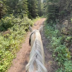 Alisha Newton Instagram - Miley Stewart summer!!! ☺️🐴🩵

Love turning my friends into cowgirls! 🫶🏼 Brought the brats to my favourite place @raftersixranch 🤠 no better way to see the Canadian Rockies 🏔️