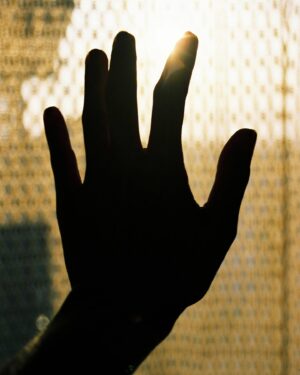 Alison Sudol Instagram - To me, the hand is the most intimate part of the body. The sensitivity of the fingertips. The way you can feel someone’s heart beat under your palm. Skin stretched thinly over 27 bones. They speak volumes about a person without words. Soft petal never-worked hands, callused hands that have never stopped, hands cracked by wind and sun, hands with dirt under the nails from gardening, from fixing cars, from sadness, hands that stroke their love’s cheek like a petal, hands that hold babies, hands that push you against a wall and touch without listening, without asking. Hands that give, hands that take. There was a long stretch of my life where I wouldn’t let anyone hold mine. Not wouldn't. Couldn't. My hands are full now. My heart is fuller. It hasn’t always been this way, but now I know what I have.

Photography by @albayruela