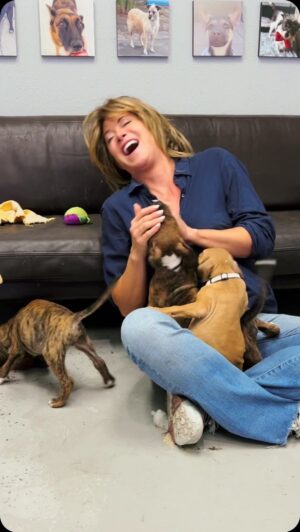 Allison Dunbar Instagram - Welcome to the second episode ever of “Puppies React To!” A huge thank you to @allisondunbar and @thismarshallcook for donating half of their Saturday to spend time with our dogs and puppies 💜 we would also like to apologize to Allison on behalf of our puppies for being so hard to work with: talk about a scene partner not preparing! 😂

All of the puppies featured in this video are available and can’t wait to find their forever homes!

#adoptdontshop #adoptme #rescue #rescuedog #rescuedogsofinstagram #puppy #puppies #puppiesofinstagram #dog #dogs #dogsofinstagram #losangeles