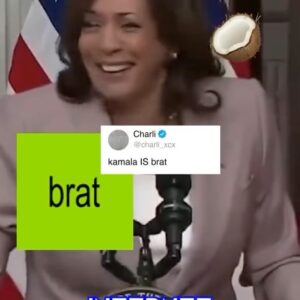 Allison Janney Instagram - 🙌 boom! #brat 

H/t • @dailymail A group of over 164,000 white women rallied behind VP Kamala Harris, breaking the record for the largest Zoom meeting ever held. They raised nearly $2 million, and crashed the platform.

#kamalaharris #kamala #president #vicepresident #election #vote #vote2024 #zoom #worldrecord #womensrights #brat