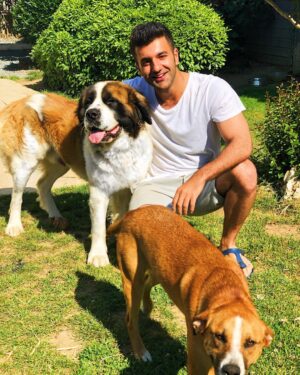 Alper Saylık Instagram - Bizim oğlanlar...🐶