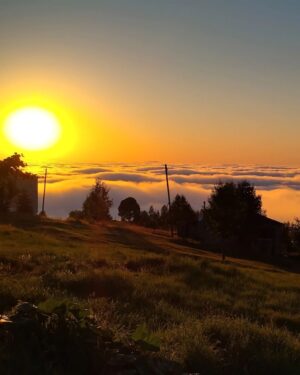 Alperen Efe Esmer Instagram - Her köşen ayrı bir cennet Karadeniz!🍃✨
#trabzon #vakfıkebir #menteşeyaylası #doğa #candostlar