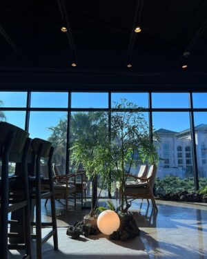 Alvin Zhou Instagram - Cafes in Korea are pure magic.