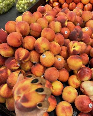 Alyah Chanelle Scott Instagram - the world is ending get a hobby and eat a stone fruit