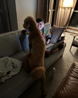 Alyson Stoner Instagram - The hodgepodge of it all 🌈
Featuring the beast that thinks she’s a lapdog and top-notch quotes from @vaginarehabdoctor @yourjourneythrough 

Alt text available