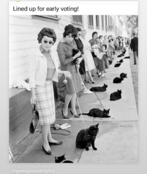 Amanda Palmer Instagram - 🐈‍⬛🗳️👌♥️