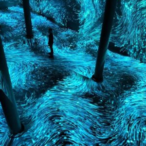 Amaro Gómez-Pablos Instagram - Una cosa es ver un cuadro... otra muy distinta es estar inmerso en un lienzo en movimiento, con colores y formas que fluyen en Instalaciones Digitales de gran nivel. Es una expresión de Arte en el Siglo 21, que usa tecnología, inteligencia artificial... una danza de la que eres parte. Lo recomiendo, @artechouse en NYC, en Miami o DC!! Grabando #AlLimiteDeLaFiccion que se estrena en marzo por @canal13cl @teletrece ¡Gracias compañeros de @trecelab !!!