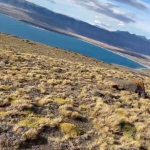 Amaro Gómez-Pablos Instagram - Conciliar trabajo con momentos familiares entrañables no es fácil, pero fue posible un par de días en nuestro recorrido por @estancia.cerroguido y con @cerroguido.conservacion , gracias a la generosidad de @piavergarafotografia al compartir sus tesoros en un lugar repleto de magia. Verte feliz y bailando al viento @patibenavidesg es una imagen que captura tu esencia y con la que siempre te recordaré, Querida Madre. Son ya 54 años de una hermosa y cómplice relación. Gracias Fernando García por la flexibilidad en el trabajo y hacer esto posible @patagonia.chiletv 👍👏👏👍 muy feliz y agradecido. #Magallanes la lleva #torresdelpaine #chileaventura