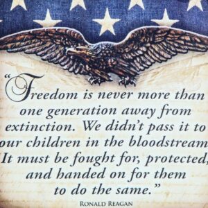 Amelia Heinle Instagram - #freedom#america #truth