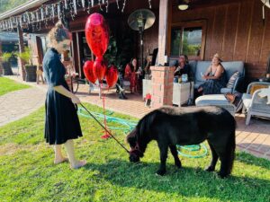 Amelia Heinle Instagram - Birthday with Stella, now I want one!! @stella_falabella