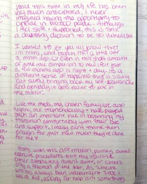 Amethyst Instagram - this journal entry hits a little different today 🩷🏳️‍⚧️
I missed being this happy. 🥹

fundraiser link in my bio. ♥