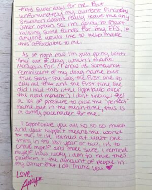 Amethyst Instagram - this journal entry hits a little different today 🩷🏳️‍⚧️
I missed being this happy. 🥹

fundraiser link in my bio. ♥