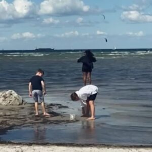 Aminata Touré Instagram - Dort leben, wo andere Urlaub machen und wiederum da auch Urlaub machen (und in Dänemark!!). 

Zur Entspannung kann ich empfehlen endlos viele Runden Ligretto zu spielen und dabei die Contenance zu bewahren (liebe Lara!!), Benedict Wells „Die Geschichten in uns“ zu lesen, aufs Meer zu schauen und Wassersportler*innen zuzugucken, einmal joggen zu gehen und zu glauben, man läuft evtl. doch noch nen Halbmarathon mit @l_petersdotter und den Gedanken wieder zu verwerfen und vor allem liebe Menschen um sich zu haben 🤍.