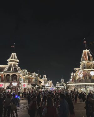 Amos Heller Instagram - As ever, following in the footsteps of @karahheller :

We went to @waltdisneyworld 

Day 1: @disneymagickingdoms 
We were traumatized by Thunder Mountain, we met princesses and rode magic carpets. We saw ghosts and fireworks and huge treehouses and went back to the hotel with full hearts and empty wallets.