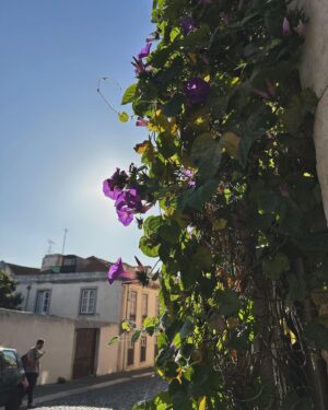 Amos Heller Instagram - Lisbon.

My first time here and hopefully not my last. I loved your weather, your architecture, your castle, your food, your art. Did you know there are lots of hills? Like LOTS of them. 

To the crowds: WOW. You amazed us with your passion, your singing, and your joy. It was such an honor to visit you and thank you for your kindnesses. 

See you soon.