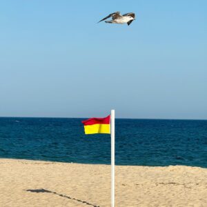 Ana Garcia Martins Instagram - Como sou masoquista, achei que era boa ideia voltar ao Algarve para ter de sofrer mais uma vez com a despedida. Burra, porém feliz com um dia de praia de reconhecida qualidade internacional.