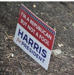 Ana Navarro Instagram -  1