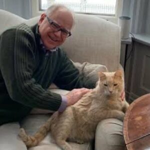 Ana Navarro Instagram - I’ve read and watched as much as I can on Tim Walz in the last couple of hours. You’re gonna hear he’s some sort of Leftie socialist. That’s false. He’s a gun-owner and hunter. He signed-up to serve his country at 17 and was a member of the National Guard for 24 years. (didn’t fake a bone spur). Joe Manchin - not exactly a flaming Liberal- has come out in support of his selection. You’re gonna hear that picking him was giving into anti semitism. That’s total bullshit. When in Congress he visited Israel. He supported resolutions to strengthen the alliance with Israel. He’s increased Holocaust education in Minnesota and condemned the Oct 7th attack by Hamas. 

But what has clearly come through in every thing I read about him, is that he’s a Minnesota-nice, joyful, compassionate, normal guy. A plain spoken man who laughs easily and likes to help others. Republicans are gonna have an awfully hard-time making this teacher and football coach, who grew-up in a Small Town, USA farming community, appear like a scary pinko. Oh, and @chacha_cardenas was quite happy to learn he loves pets. How refreshing! I’m voting against #TeamWeird and for #TeamNormal. You know, the ones who don’t think there’s anything wrong with smiling, laughing and being happy. Oh, wait. And he thinks eating turkey qualifies as vegan. 🤣🤣🤣